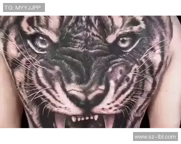 满背虎头足球明星的传奇人生与赛场风采全景揭秘