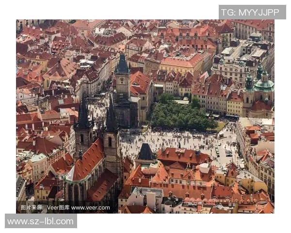 俄罗斯与捷克的精彩对决分析及赛前预测全景揭秘