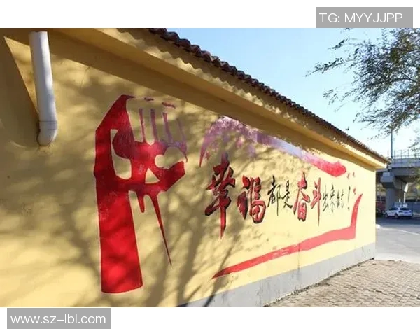 篮球明星田野的传奇之路与青春奋斗的故事分享