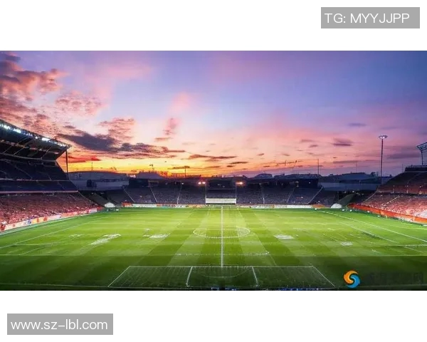 最新足球教练小说推荐带你领略绿茵场上的激情与梦想