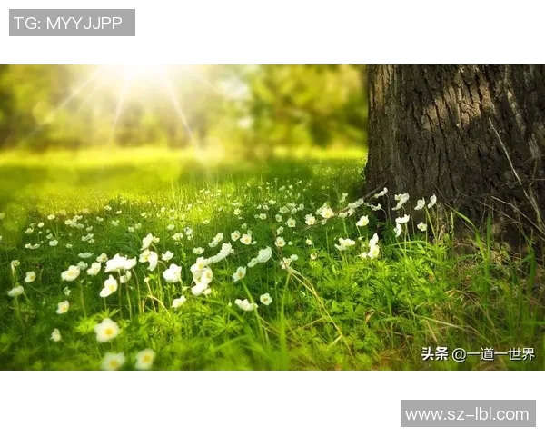 篮球明星的励志名言激励你追逐梦想与成就人生的精彩旅程 篮球明星的励志名言激励你追逐梦想与成就人生的精彩旅程